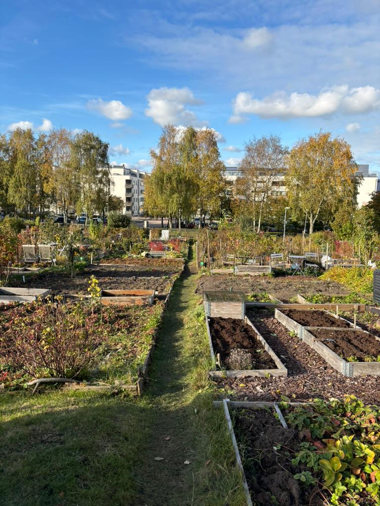 Gångar mellan lotterna
